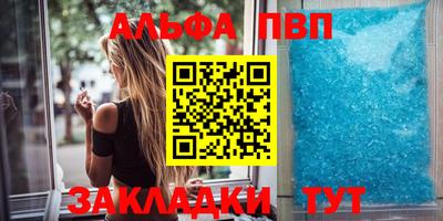 сатива Кингисепп