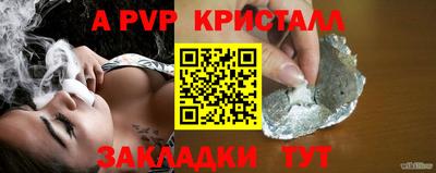 сатива Кингисепп