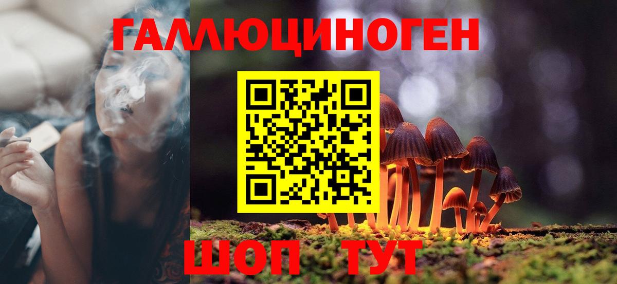 Псилоцибиновые грибы прущие грибы  Вход с VPN  Псилоцибиновые грибы мухоморы  Ульяновск 